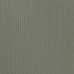 RAL 6003